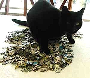 puzzlecat